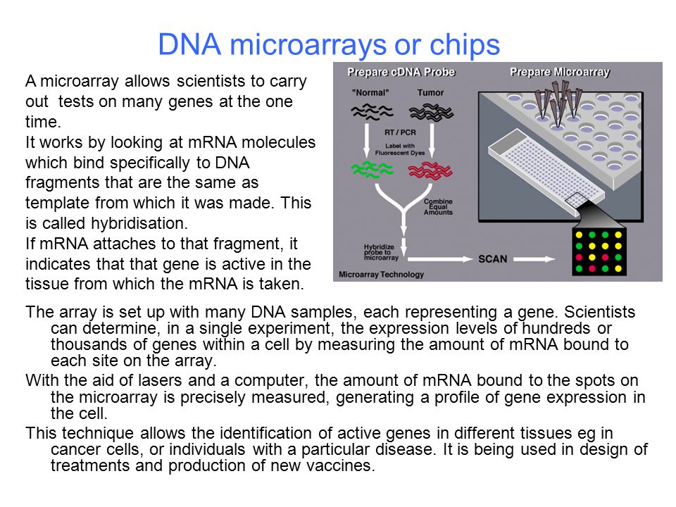 DNA microarrays or chips
