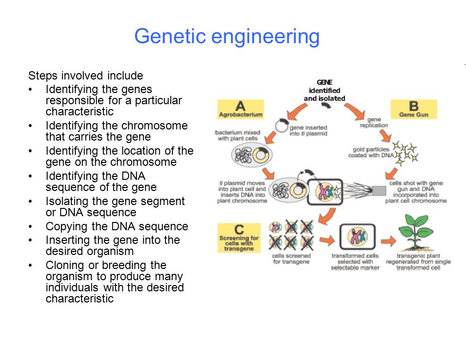 Genetic engineering Steps involved include