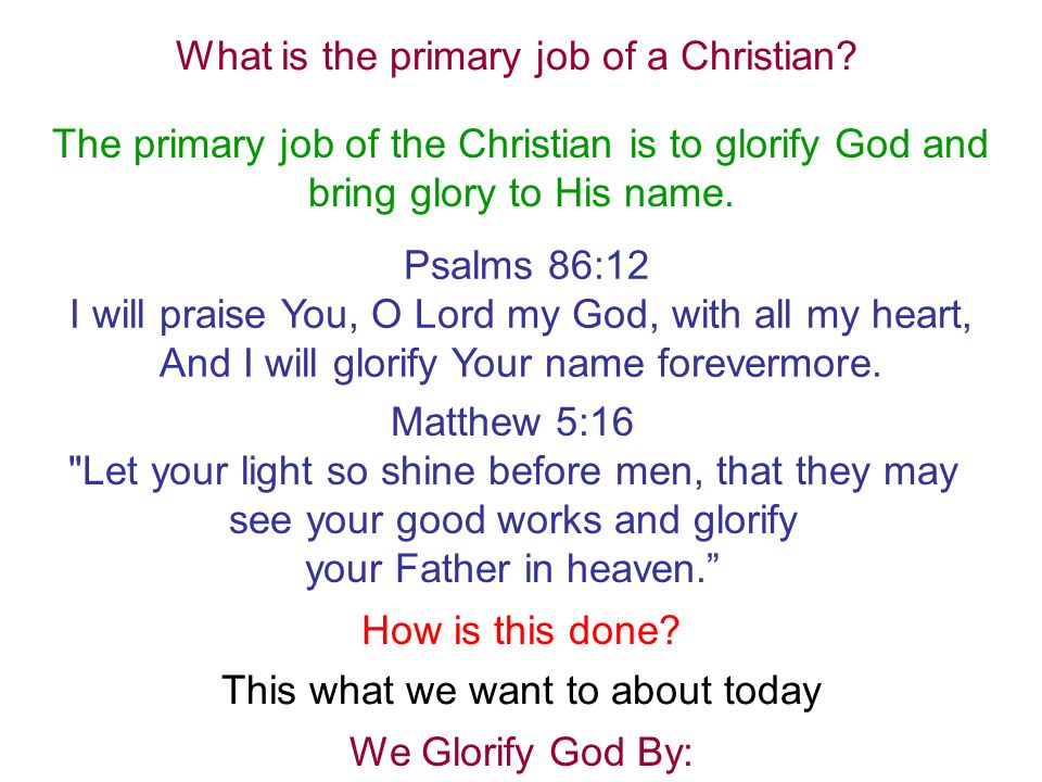 What is the primary job of a Christian
