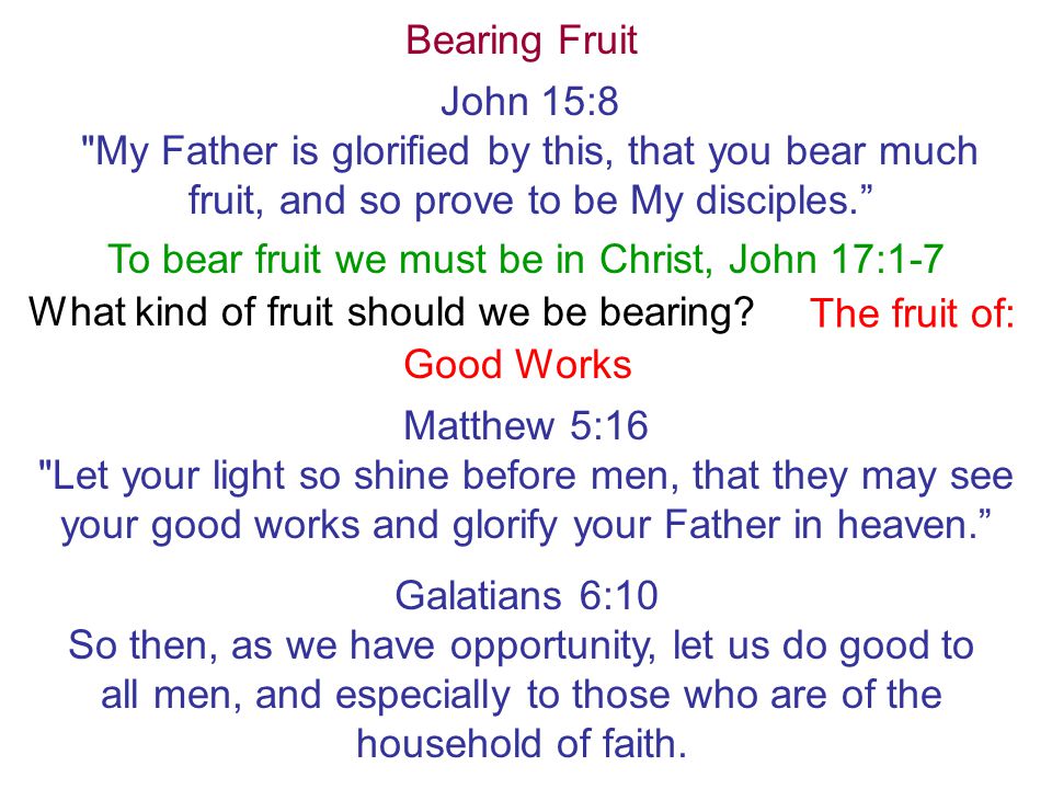 To bear fruit we must be in Christ, John 17:1-7