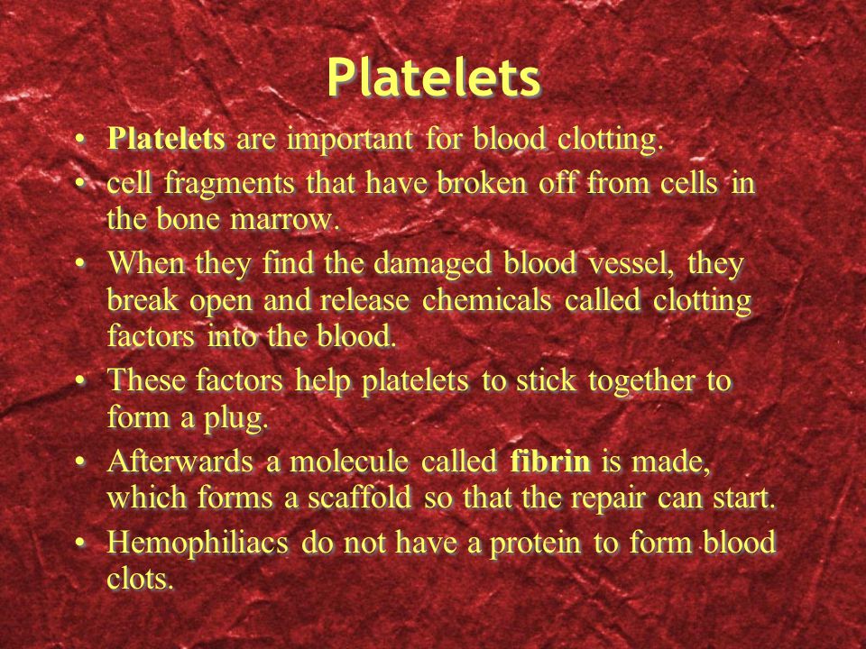Platelets Platelets are important for blood clotting.