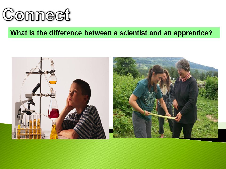 Connect What is the difference between a scientist and an apprentice