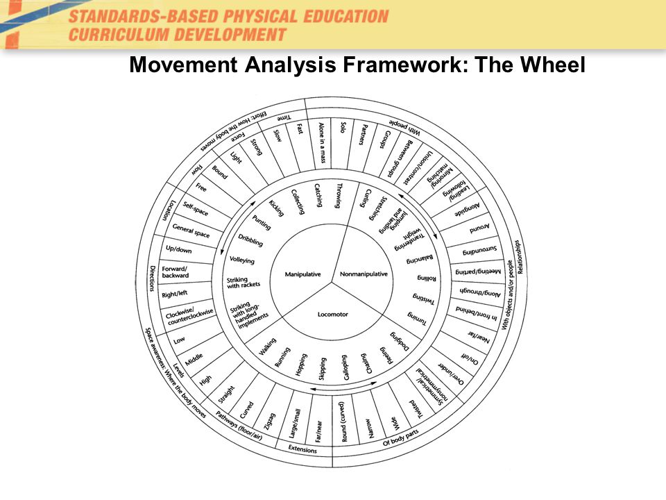 Movement Analysis Framework: The Wheel