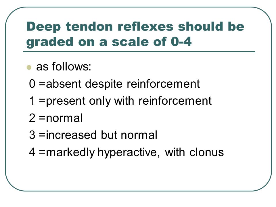 Deep Tendon Reflex Chart Trinity
