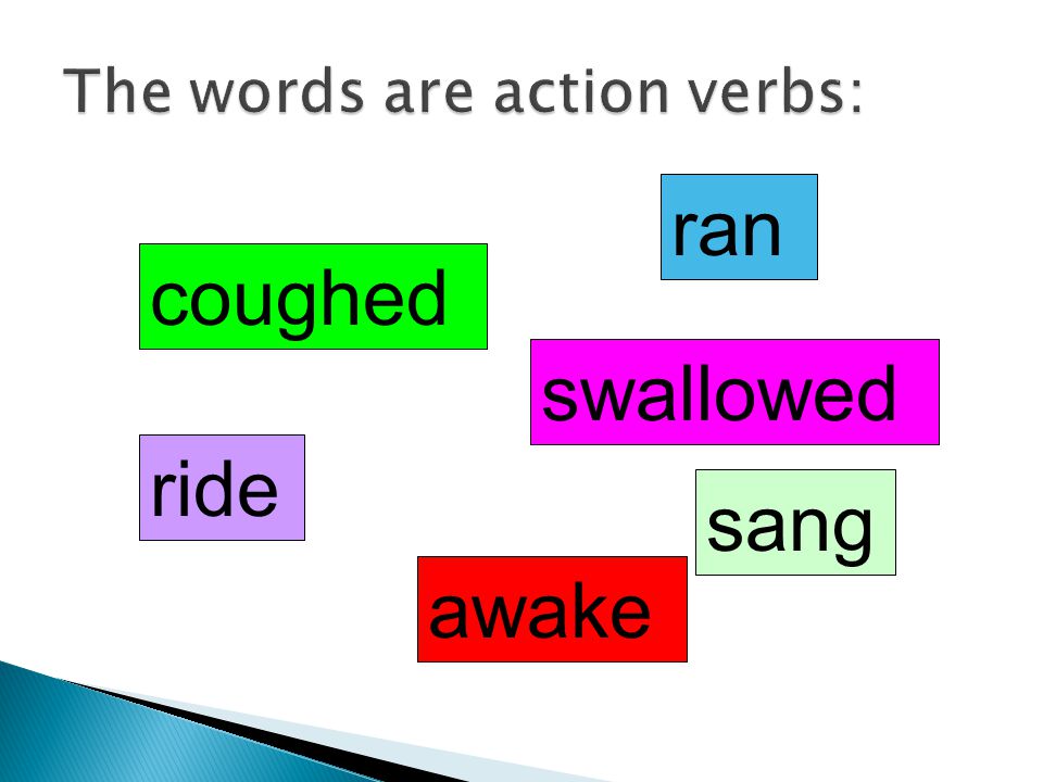 The words are action verbs: