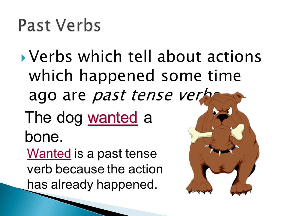 Past Verbs Verbs which tell about actions which happened some time ago are past tense verbs. The dog wanted a bone.