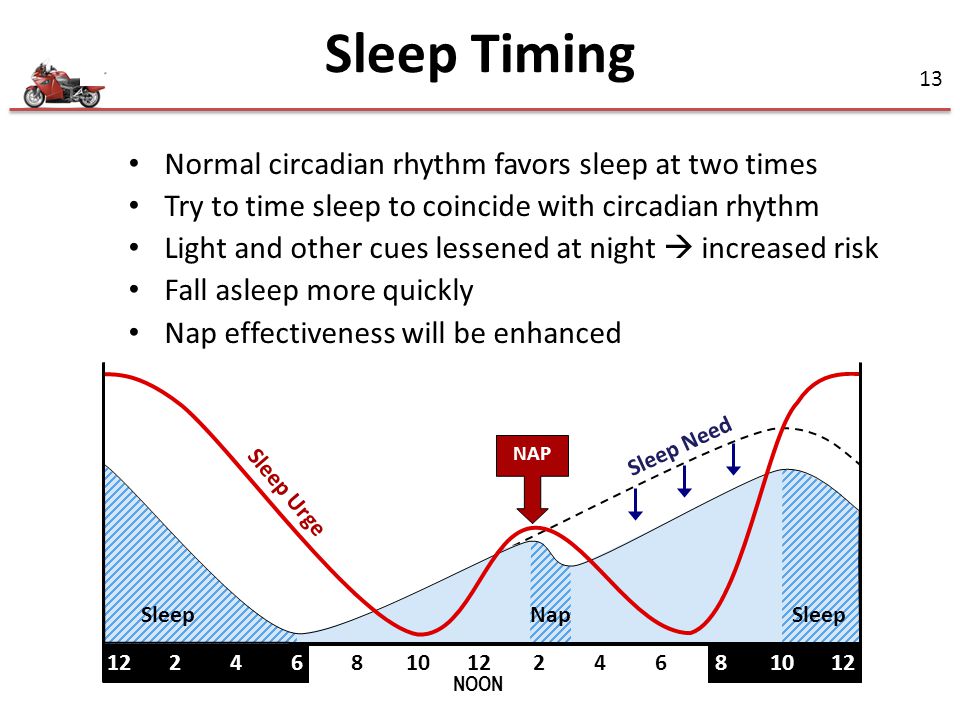 Sleep Timing Normal circadian rhythm favors sleep at two times