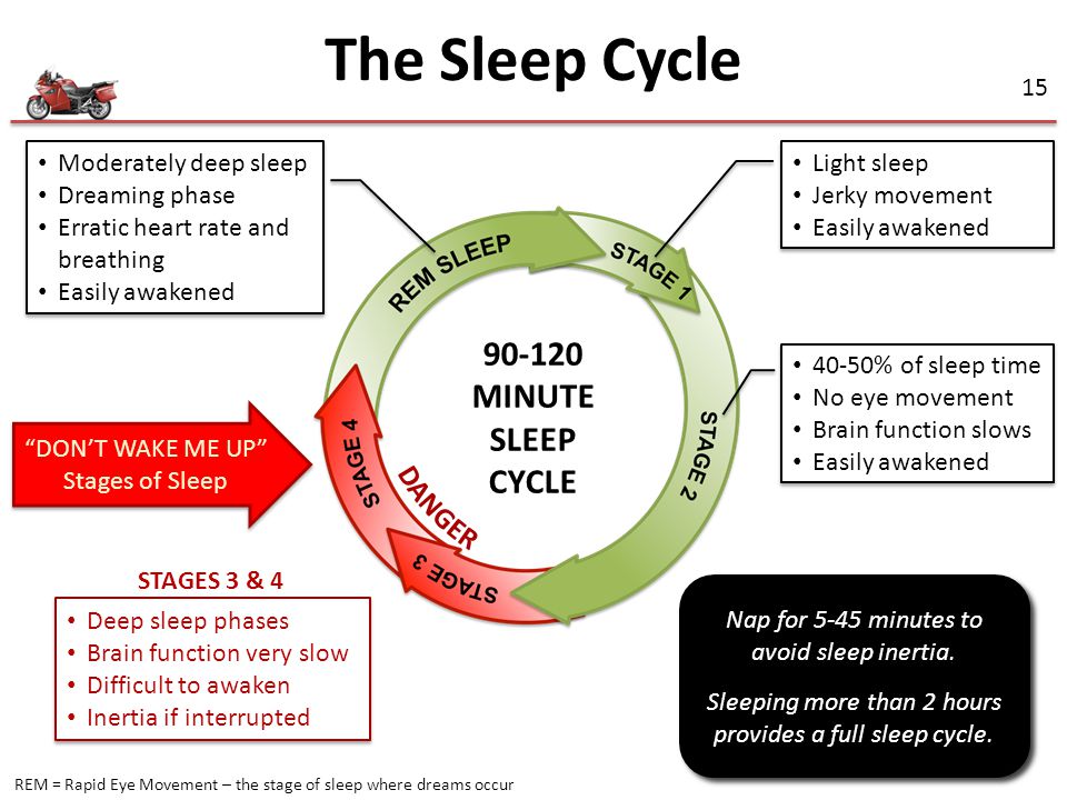 The Sleep Cycle MINUTE SLEEP CYCLE DANGER Moderately deep sleep