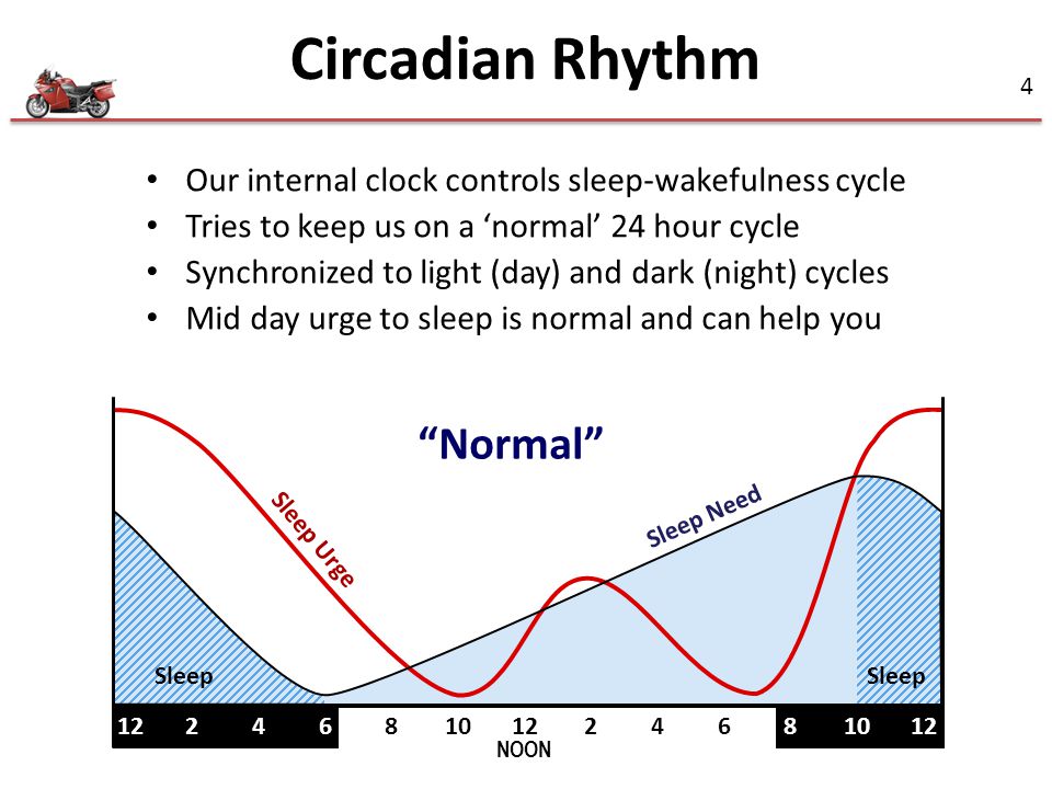 Circadian Rhythm Normal