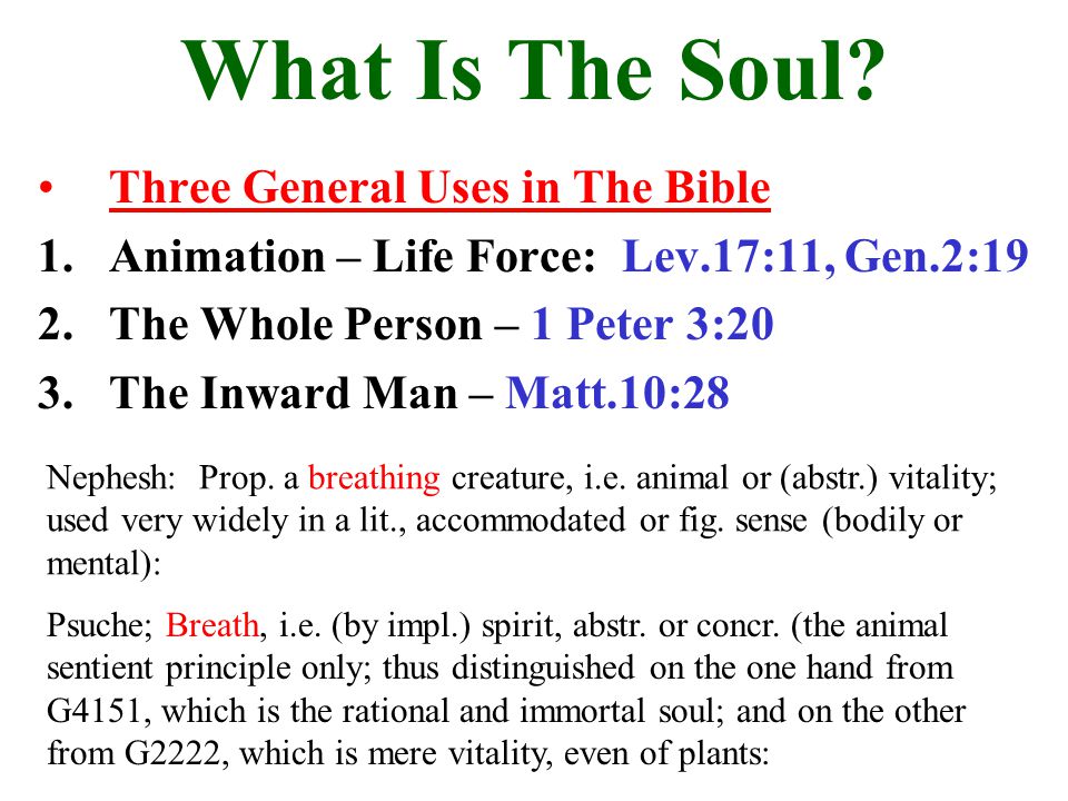 What Is The Soul Three General Uses in The Bible