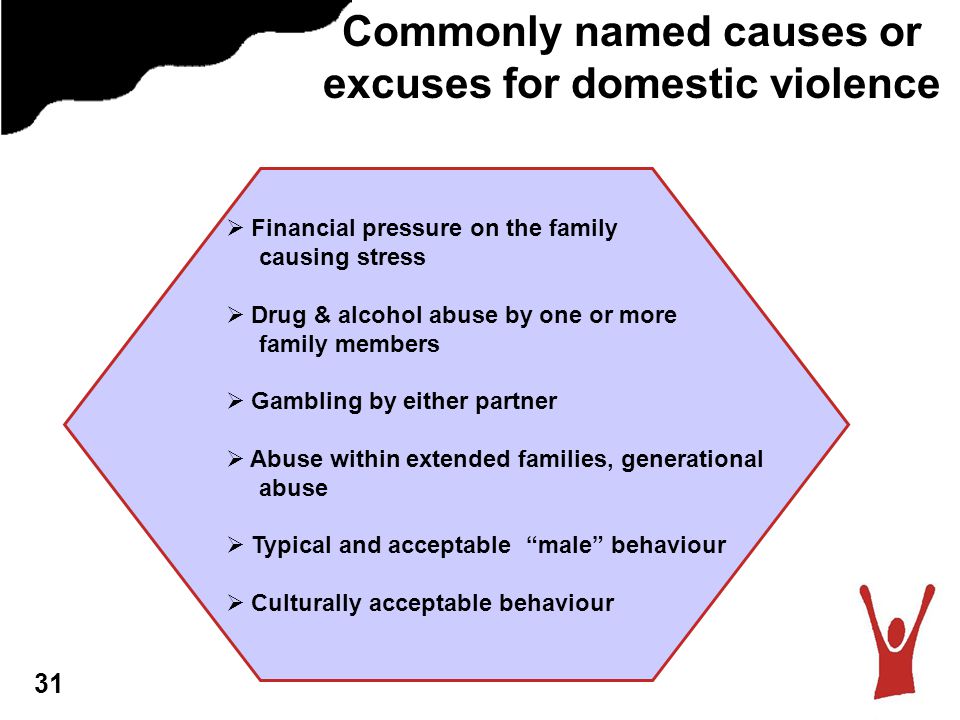 Commonly named causes or excuses for domestic violence