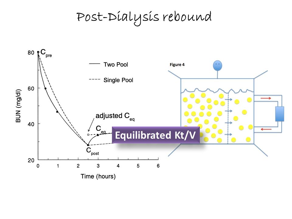 Adequacy Of Hemodialysis Data From Hennet Ppt Video Online Download