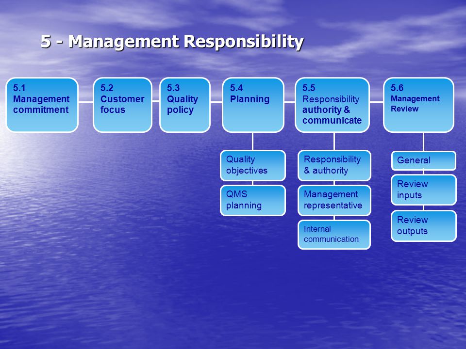 5 - Management Responsibility