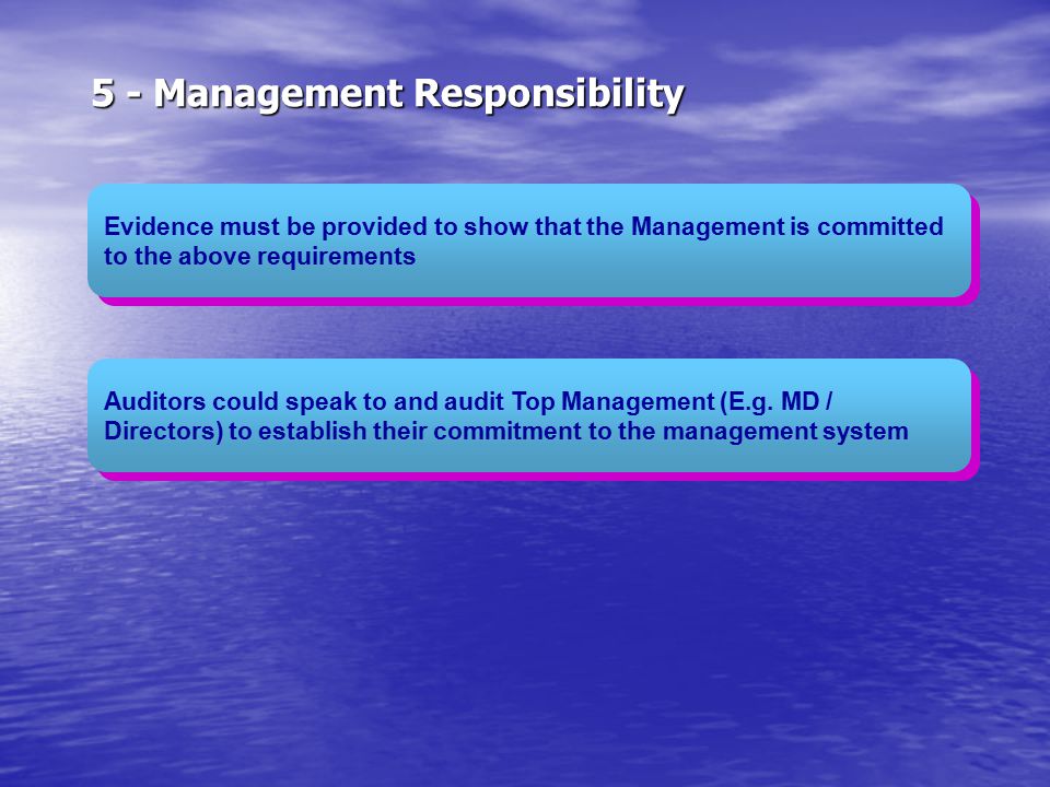 5 - Management Responsibility
