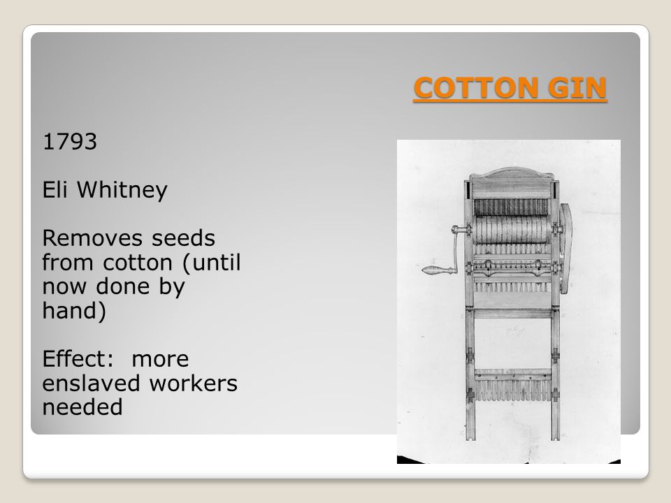 COTTON GIN Eli Whitney.
