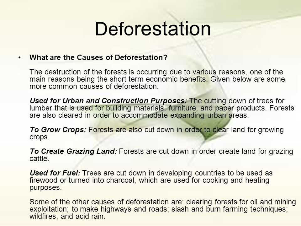 Cut them down. Causes of deforestation. Deforestation reasons. Сочинение по английскому на тему deforestation. How to solve the problem of deforestation.
