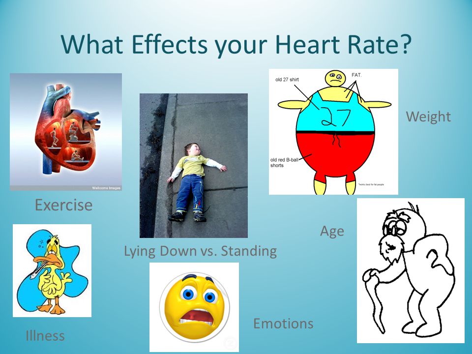 What Effects your Heart Rate