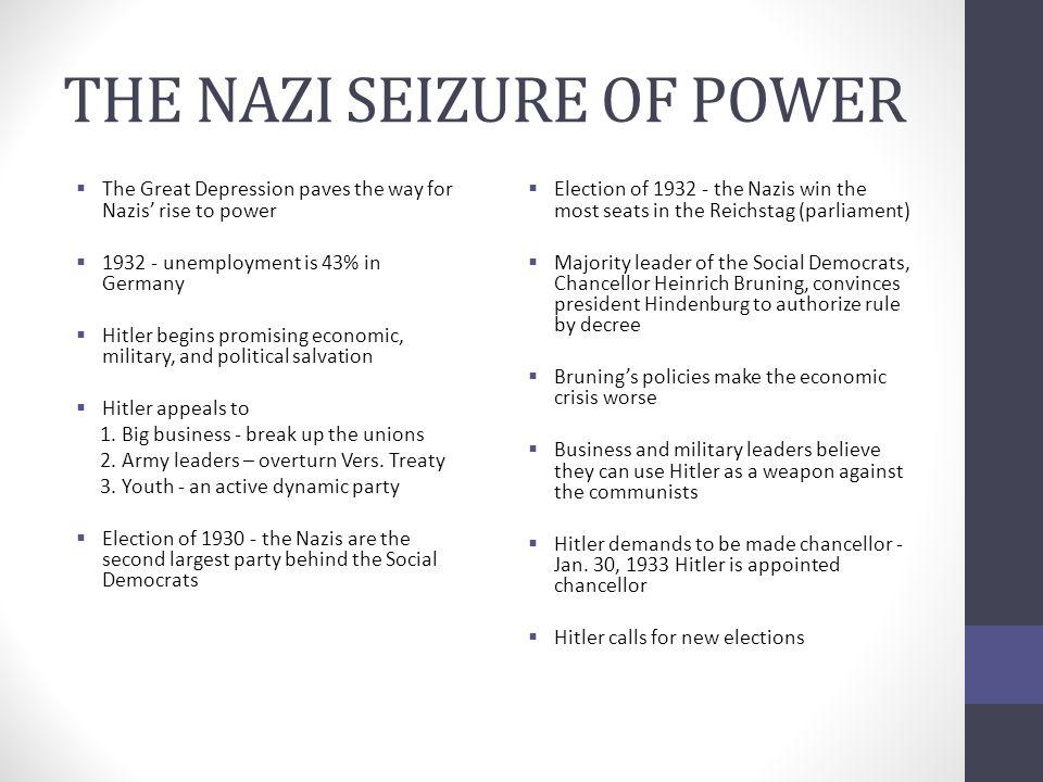 the nazi seizure of power summary