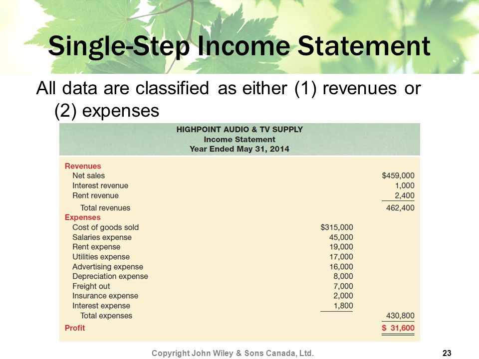 Single-Step Income Statement