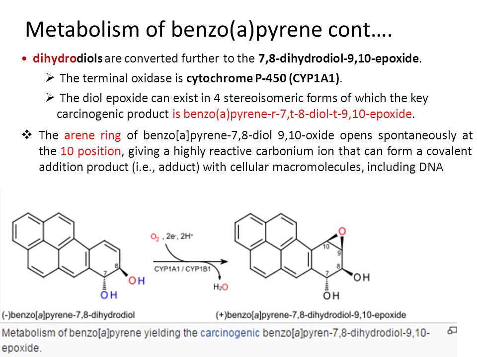 Metabolism of benzo(a)pyrene cont….