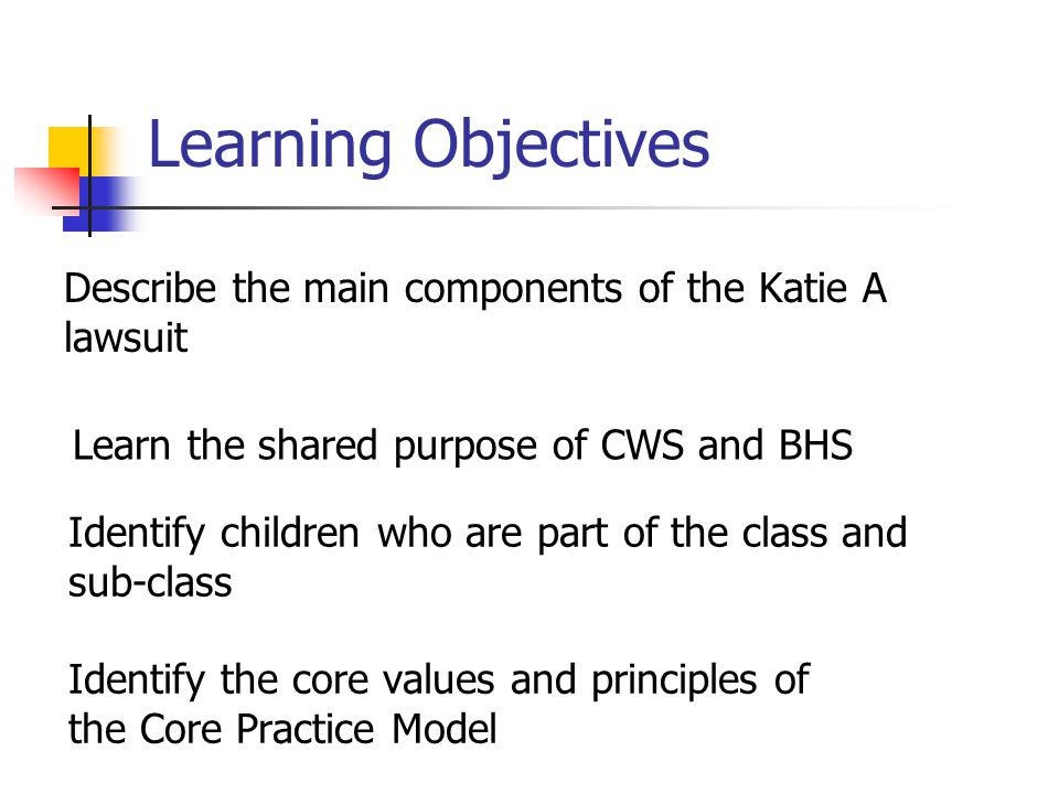 Learning Objectives Describe the main components of the Katie A lawsuit. Learn the shared purpose of CWS and BHS.