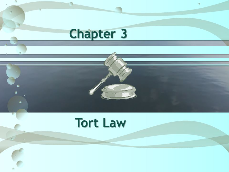 Chapter 3 Tort Law