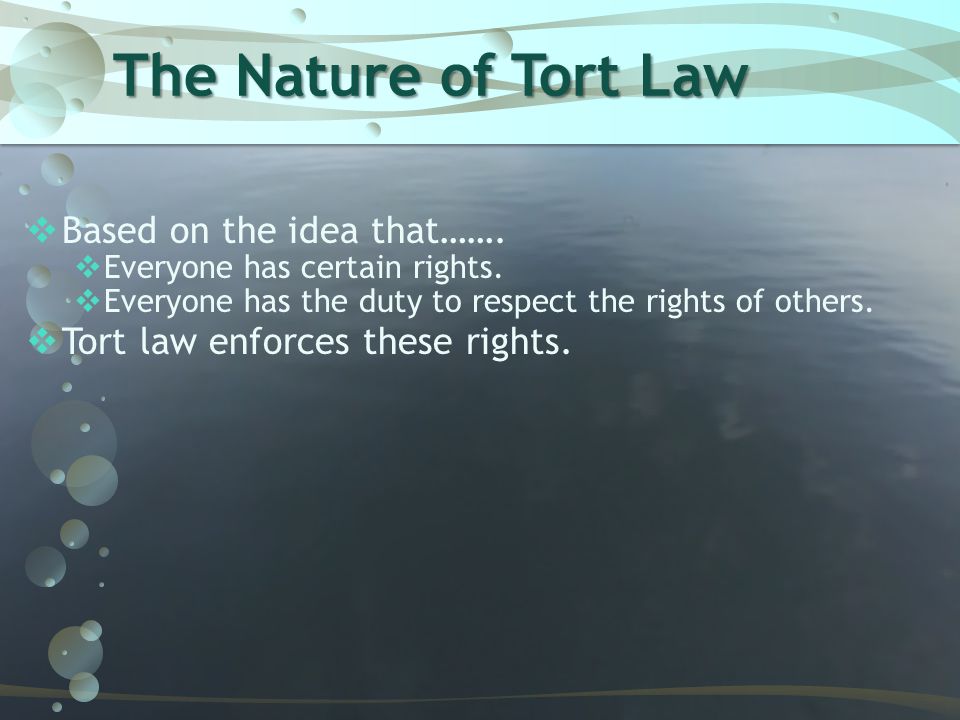 The Nature of Tort Law Based on the idea that…….
