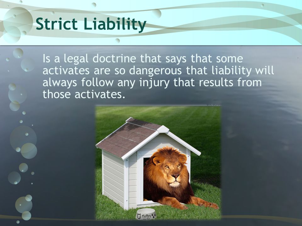 Strict Liability