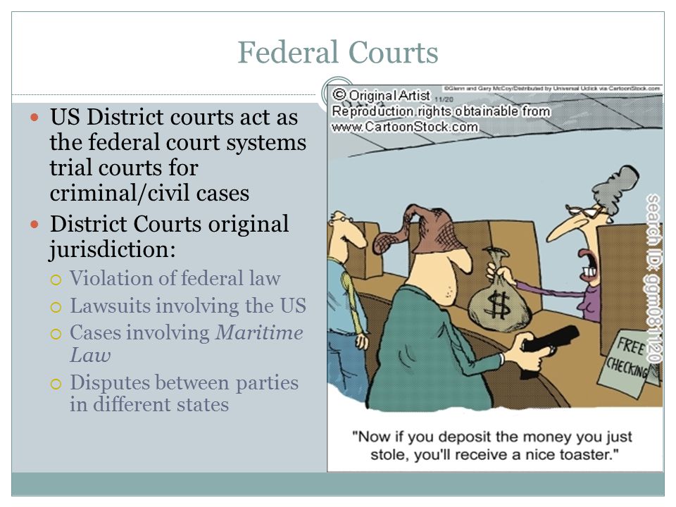 Federal Courts US District courts act as the federal court systems trial courts for criminal/civil cases.