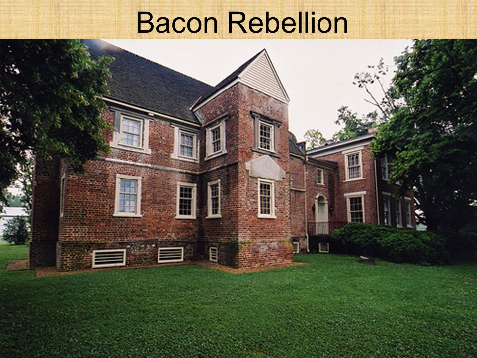 Bacon Rebellion Bacon led attacks on Native American villages