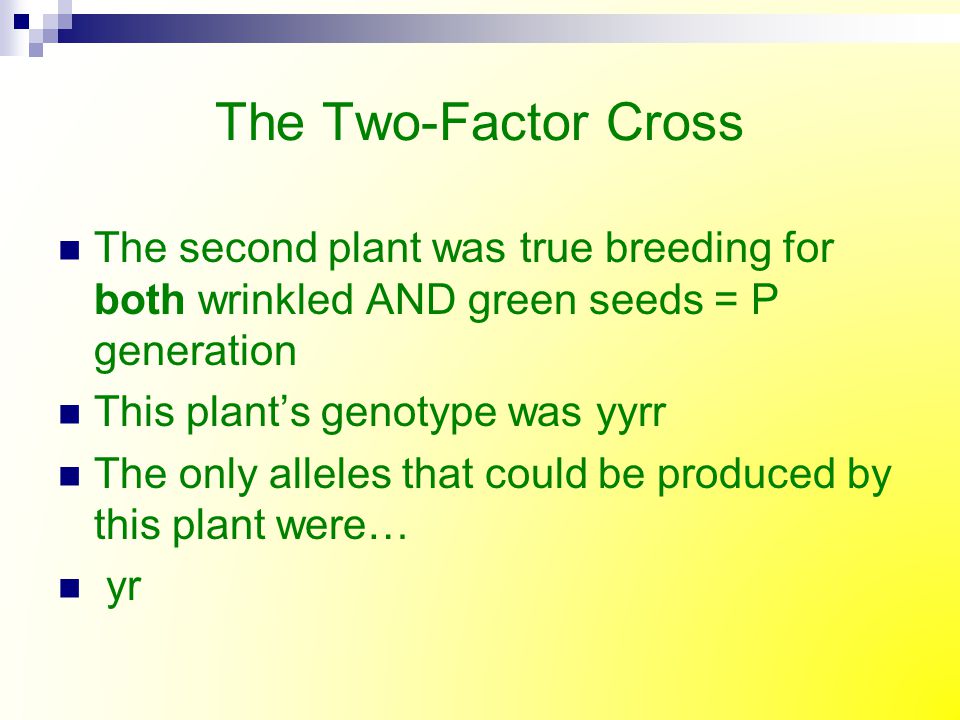The Two-Factor Cross The second plant was true breeding for both wrinkled AND green seeds = P generation.