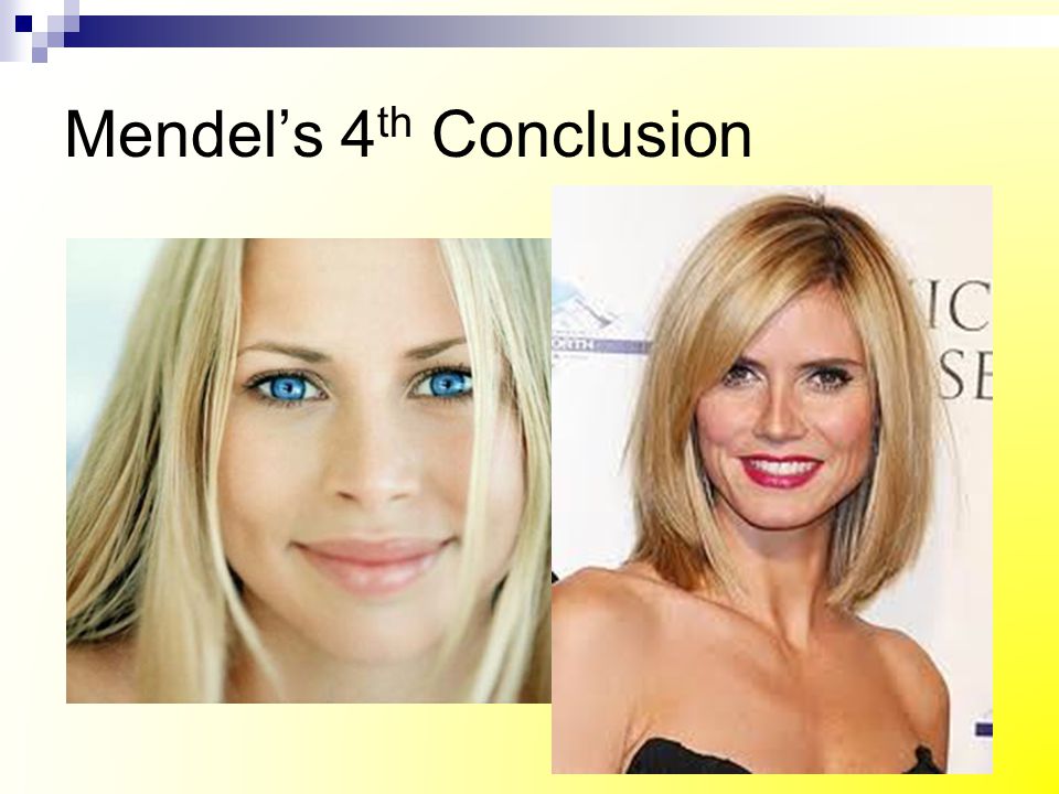 Mendel’s 4th Conclusion