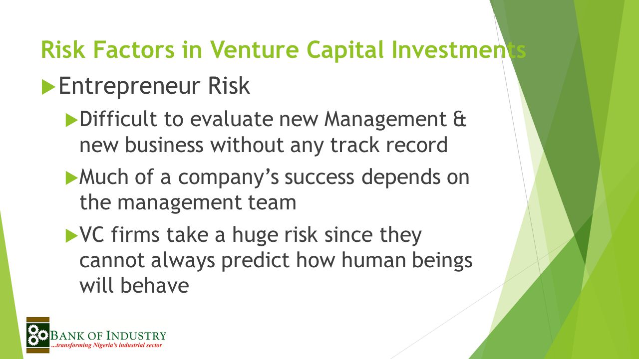 Risk Factors in Venture Capital Investments