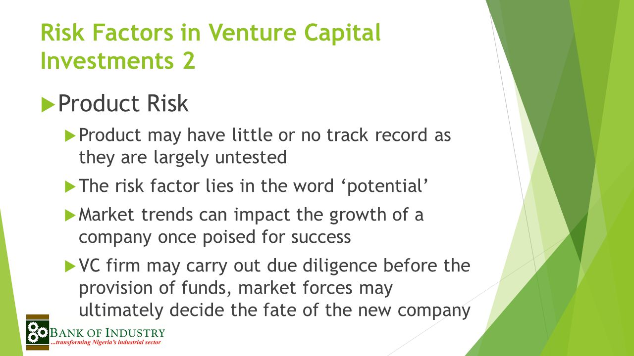 Risk Factors in Venture Capital Investments 2