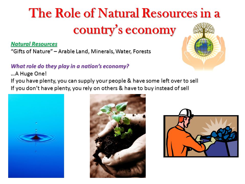 The Role of Natural Resources in a country’s economy