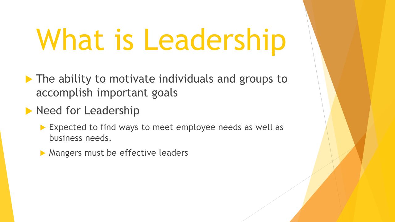 What is Leadership The ability to motivate individuals and groups to accomplish important goals. Need for Leadership.