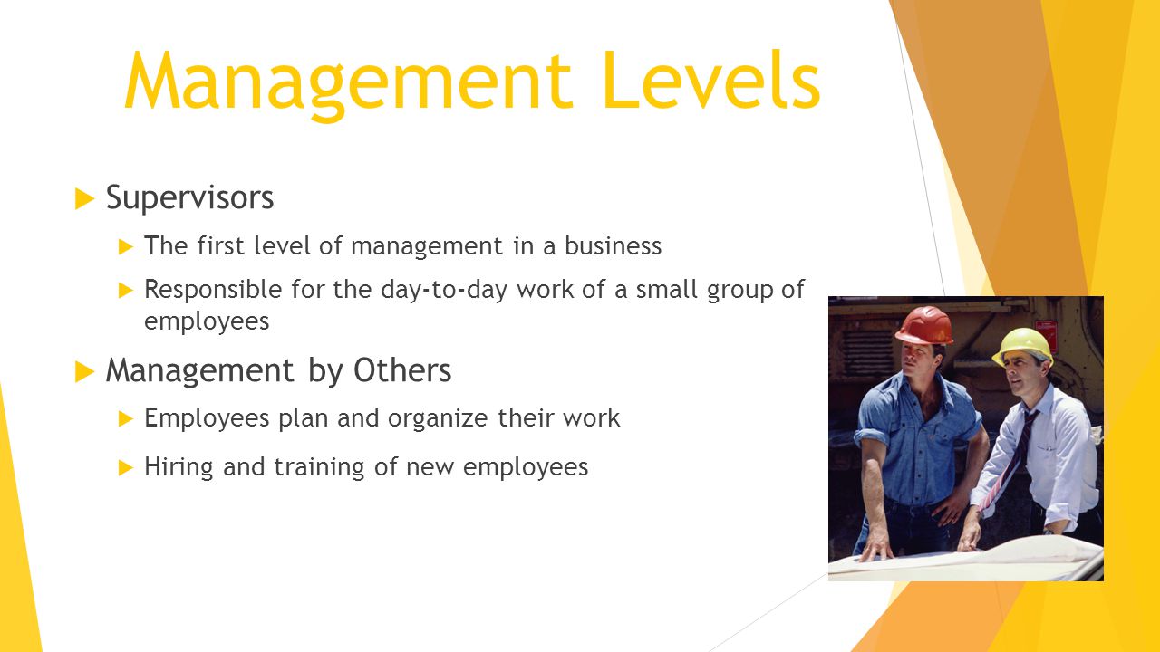 Management Levels Supervisors Management by Others