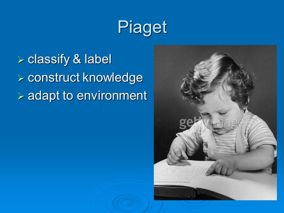 Piaget classify & label construct knowledge adapt to environment