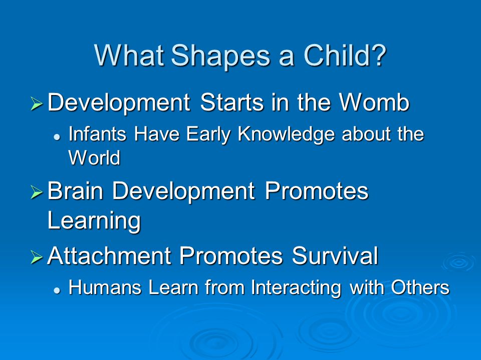 What Shapes a Child Development Starts in the Womb