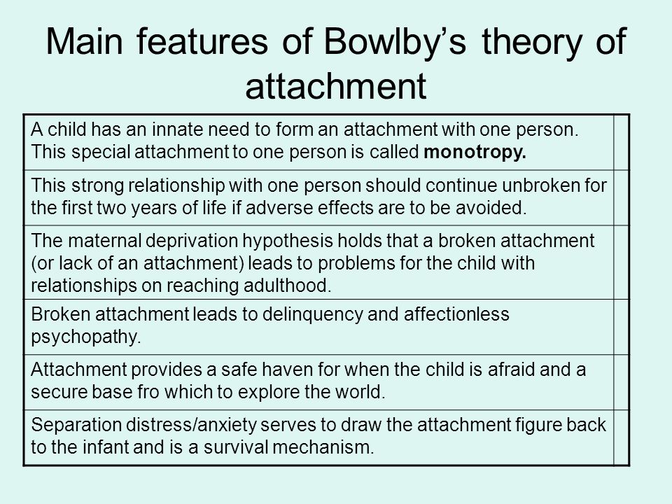 attachment theory evaluation essay