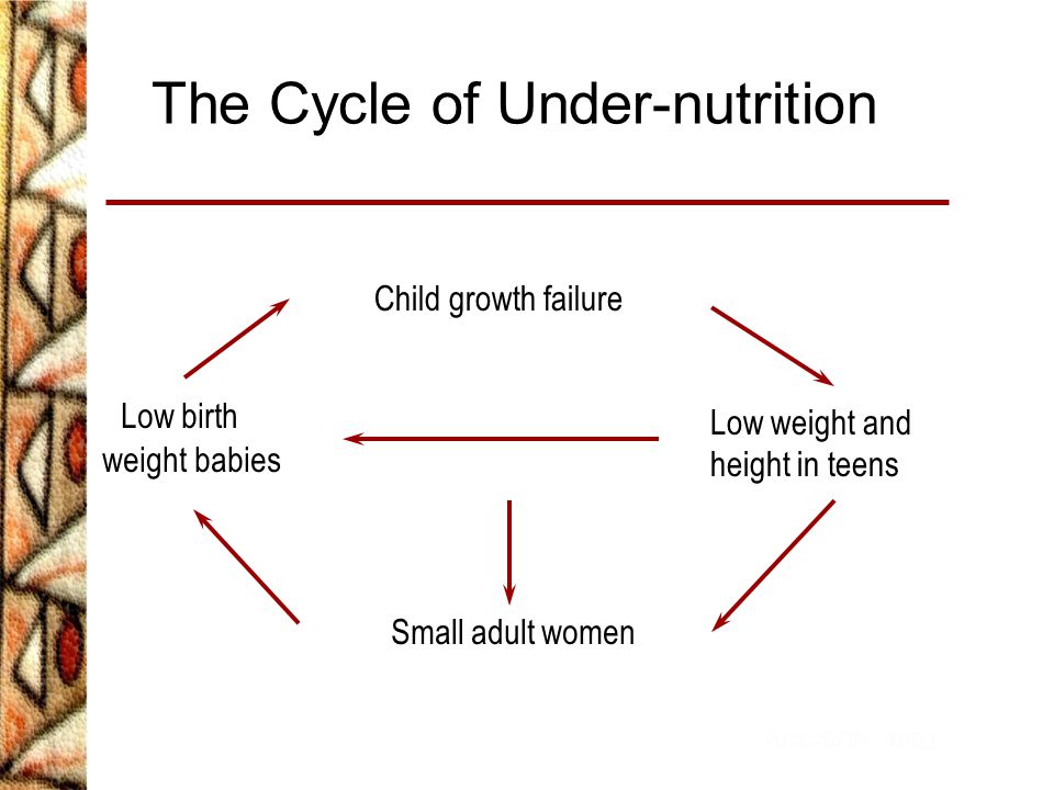 The Cycle of Under-nutrition