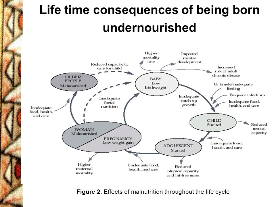 Life time consequences of being born undernourished