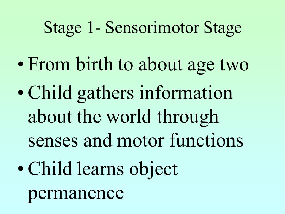 Stage 1- Sensorimotor Stage