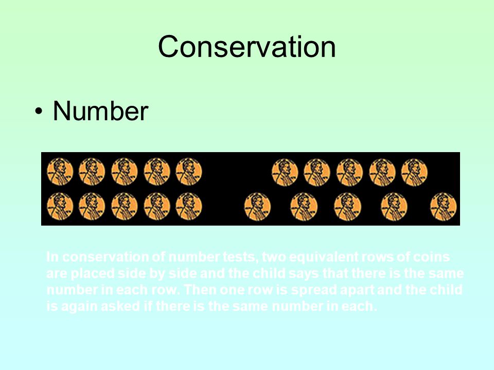 Conservation Number. Keywords piaget, conservation. Figures from Gray (3e)