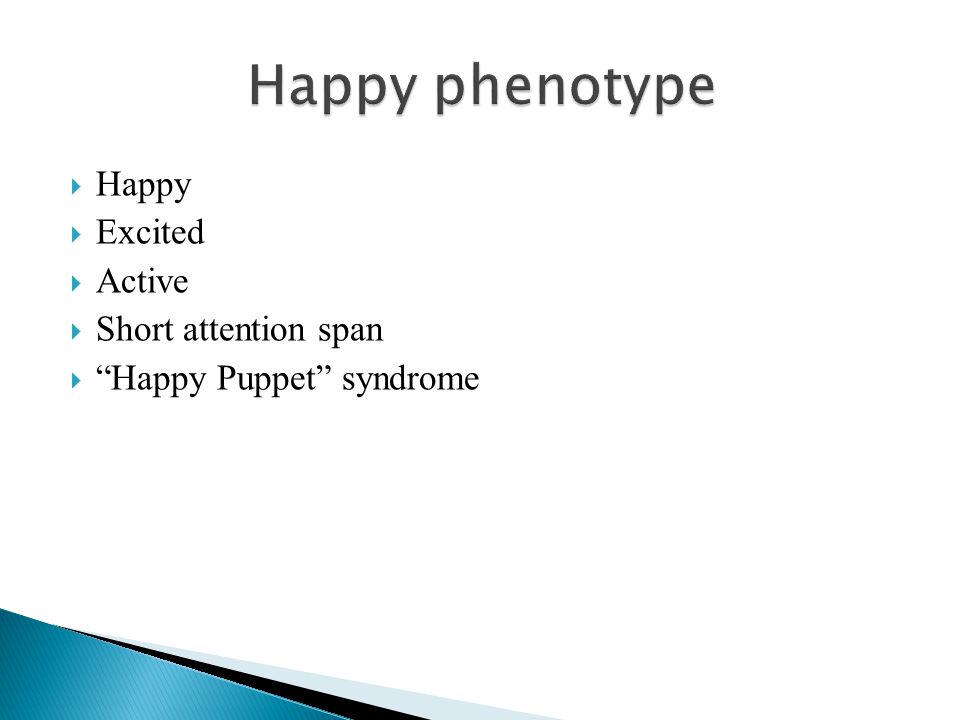 Happy phenotype Happy Excited Active Short attention span