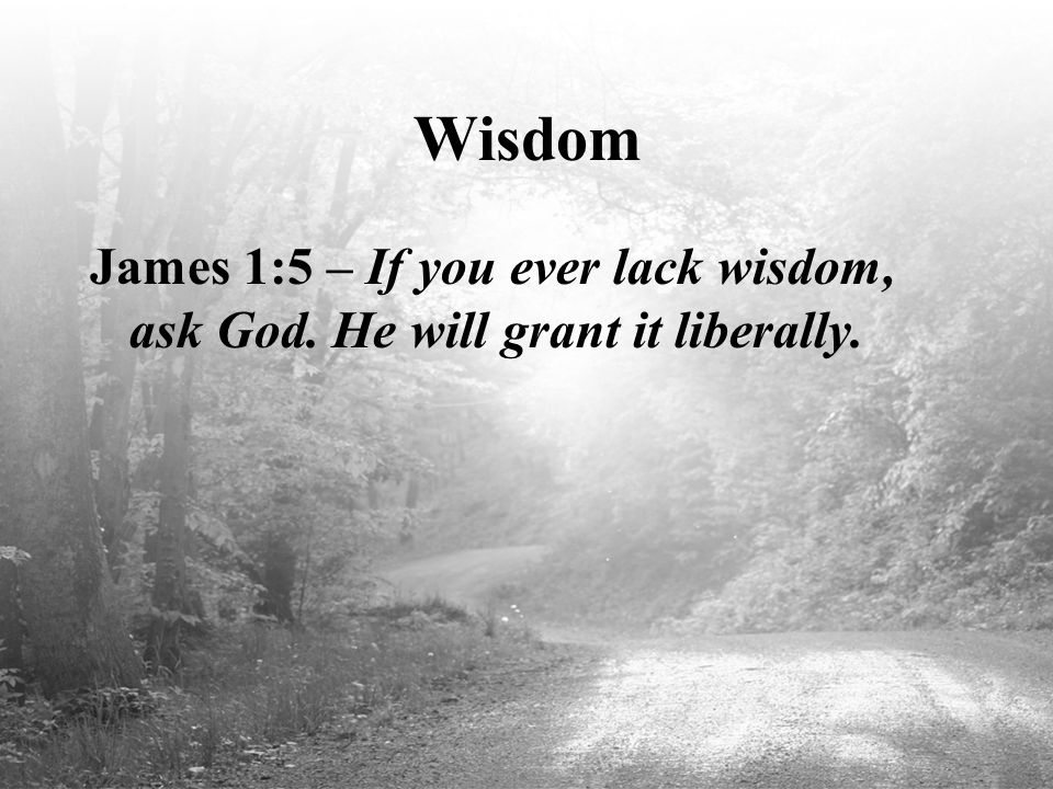 Wisdom James 1:5 – If you ever lack wisdom, ask God. He will grant it liberally.