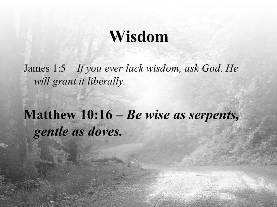 Wisdom Matthew 10:16 – Be wise as serpents, gentle as doves.
