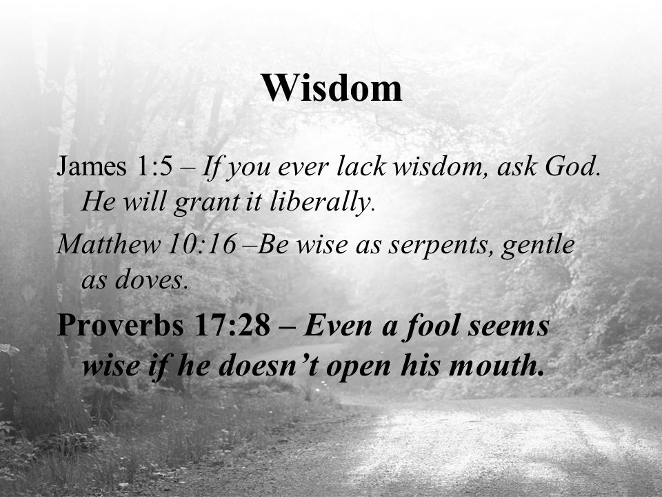 Wisdom James 1:5 – If you ever lack wisdom, ask God. He will grant it liberally. Matthew 10:16 –Be wise as serpents, gentle as doves.