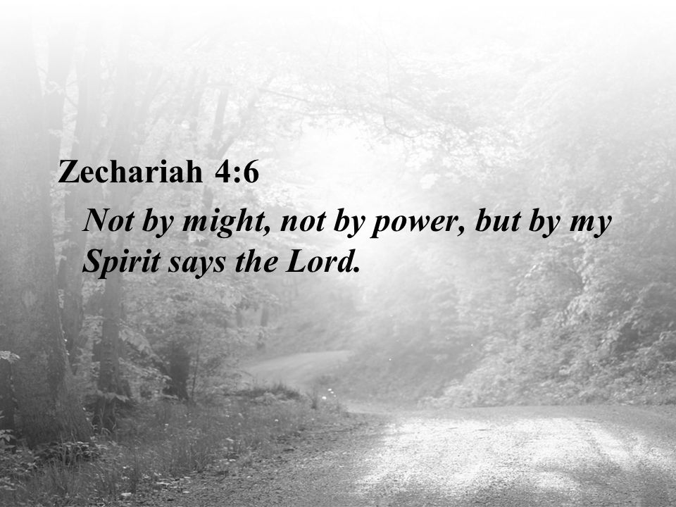 Zechariah 4:6 Not by might, not by power, but by my Spirit says the Lord.