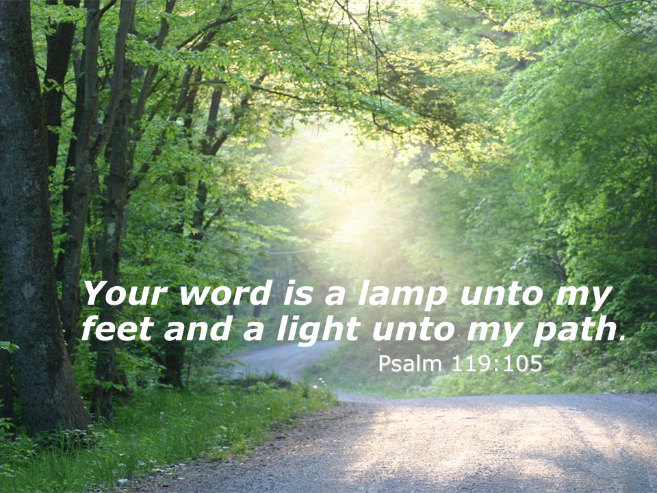Your word is a lamp unto my feet and a light unto my path.